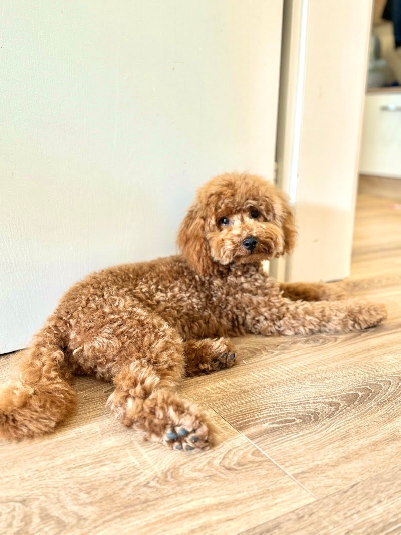 Happy Saloon - Foto 1