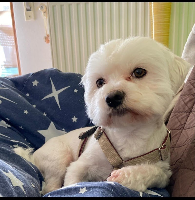 Happy Saloon - Foto 2