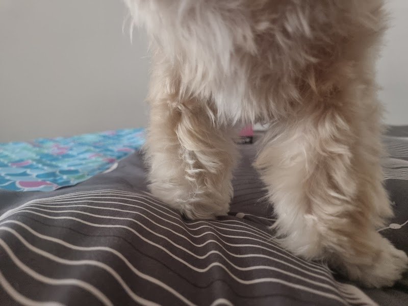 Happy Saloon - Foto 4