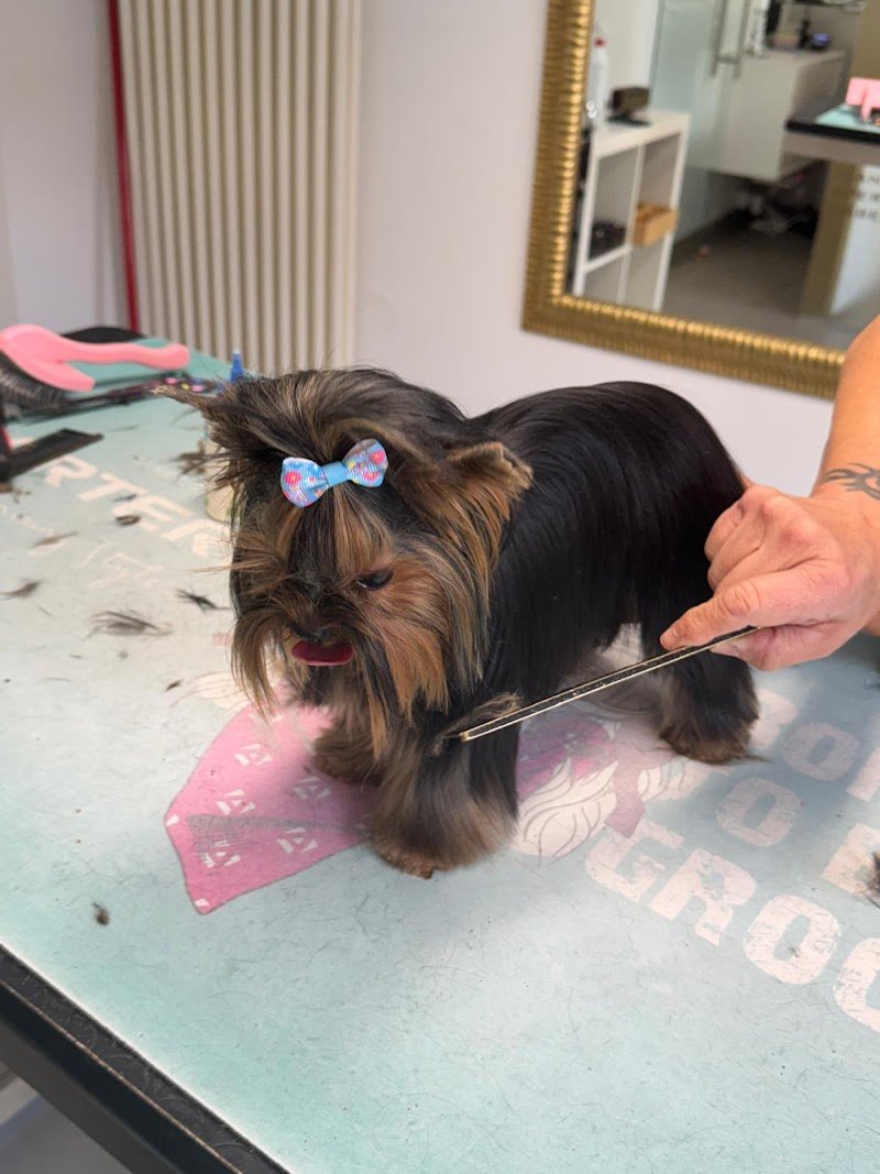 Happy Saloon - Foto 5