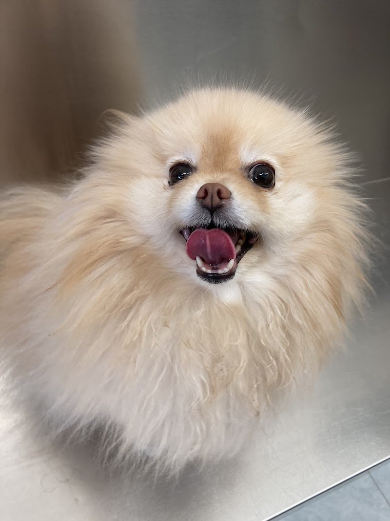 Happy Saloon - Foto 6