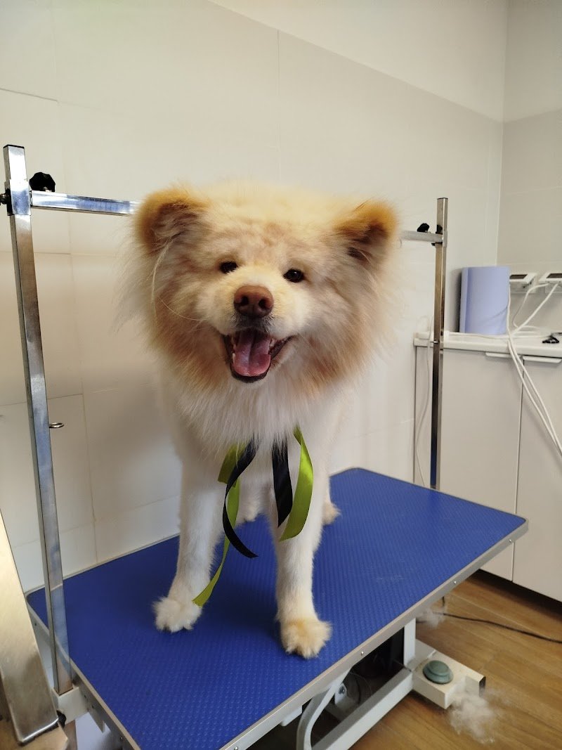 HappySpa toelettatura - Foto 1