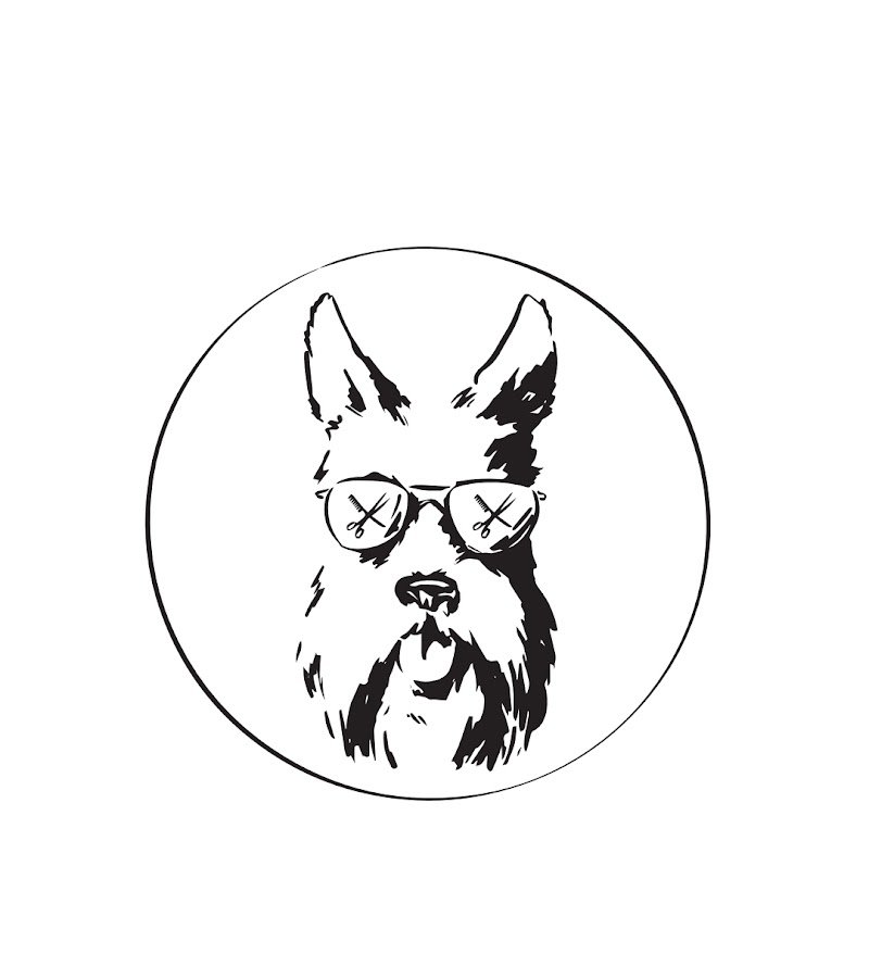 Harley Dog - Toelettatura - Foto 2