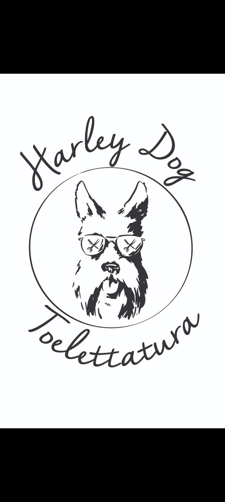 Harley Dog - Toelettatura - Foto 3