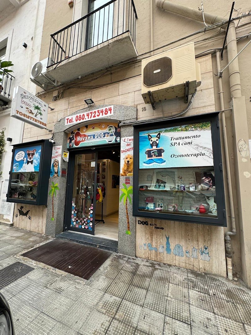 Havana Dog - Toelettatura e Pulizia Dentale per Animali a Bari - Foto 1