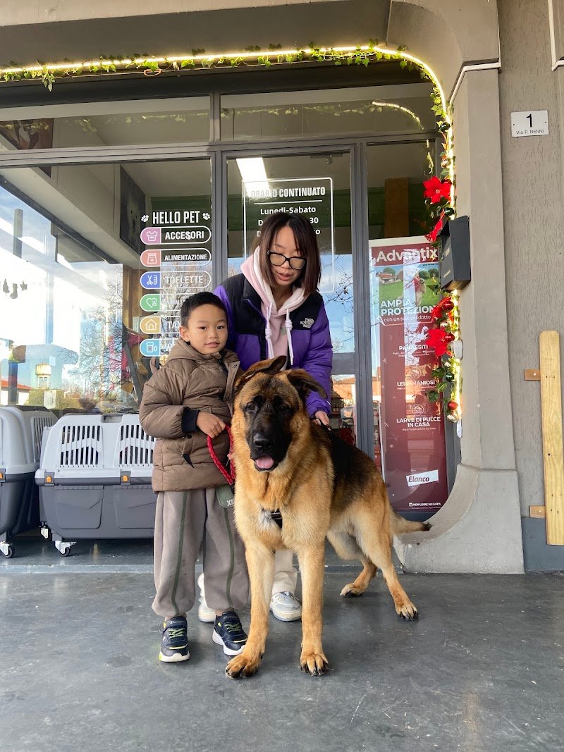 Hello Pet toelettatura alimenti per animali - Foto 6