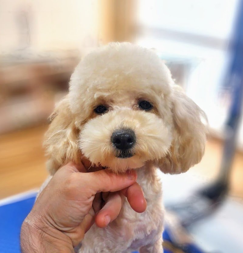 Hello spank! - Foto 2