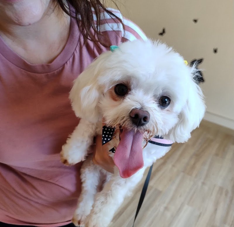 Hello spank! - Foto 3