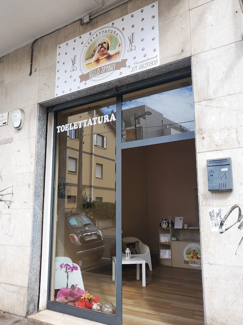 Hello spank! - Foto 4