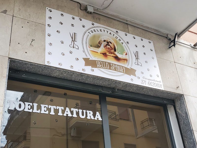 Hello spank! - Foto 5