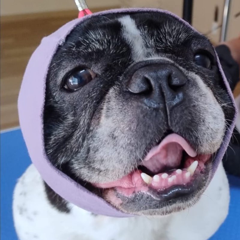 Hello spank! - Foto 6