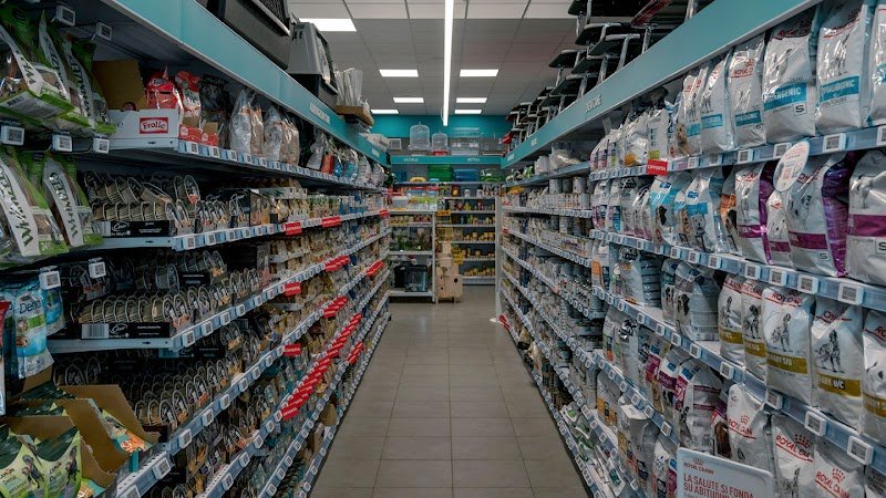 Homery Viareggio - Per chi Ama gli Animali - Foto 2