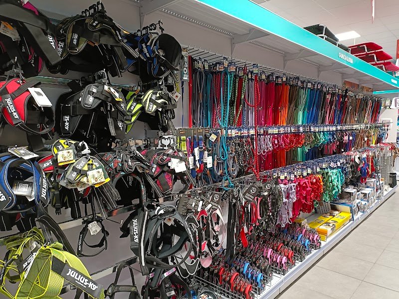 Homery Viareggio - Per chi Ama gli Animali - Foto 3