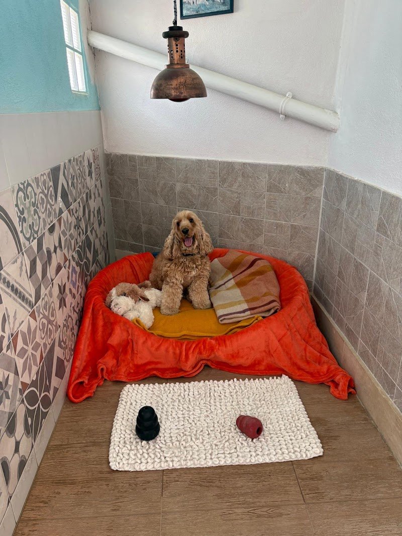 Hotel a Quattro Zampe Trani - Foto 3