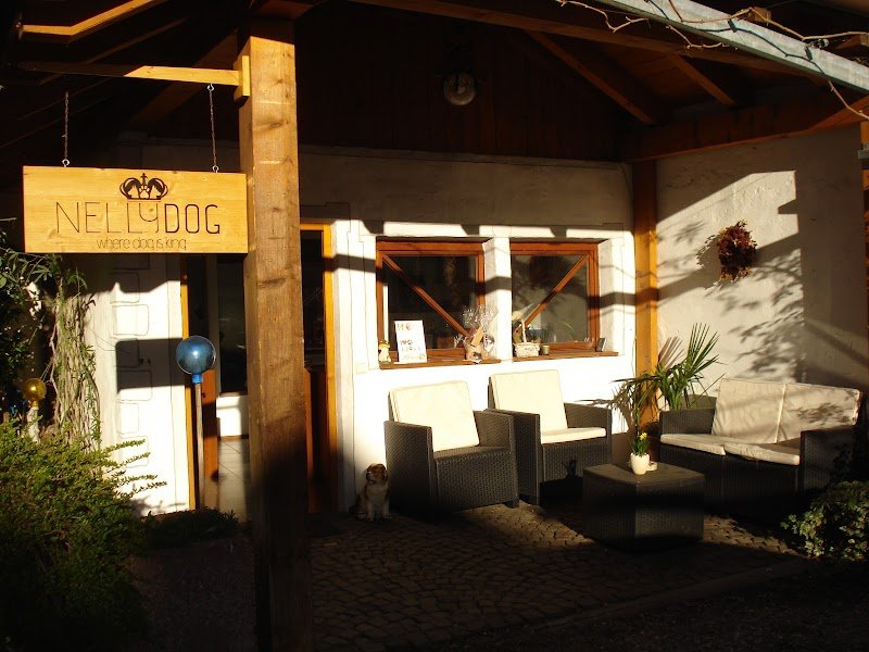 Hundesalon Nellydog - Salone per cani Nellydog - Foto 6