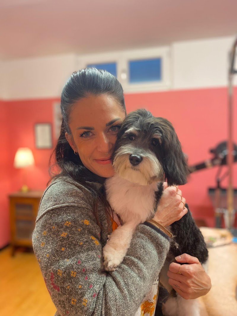 Hundesalon The Grooming Garage - Foto 1