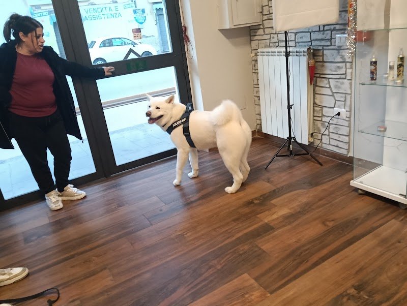 I Baffi di Dalì - Foto 2