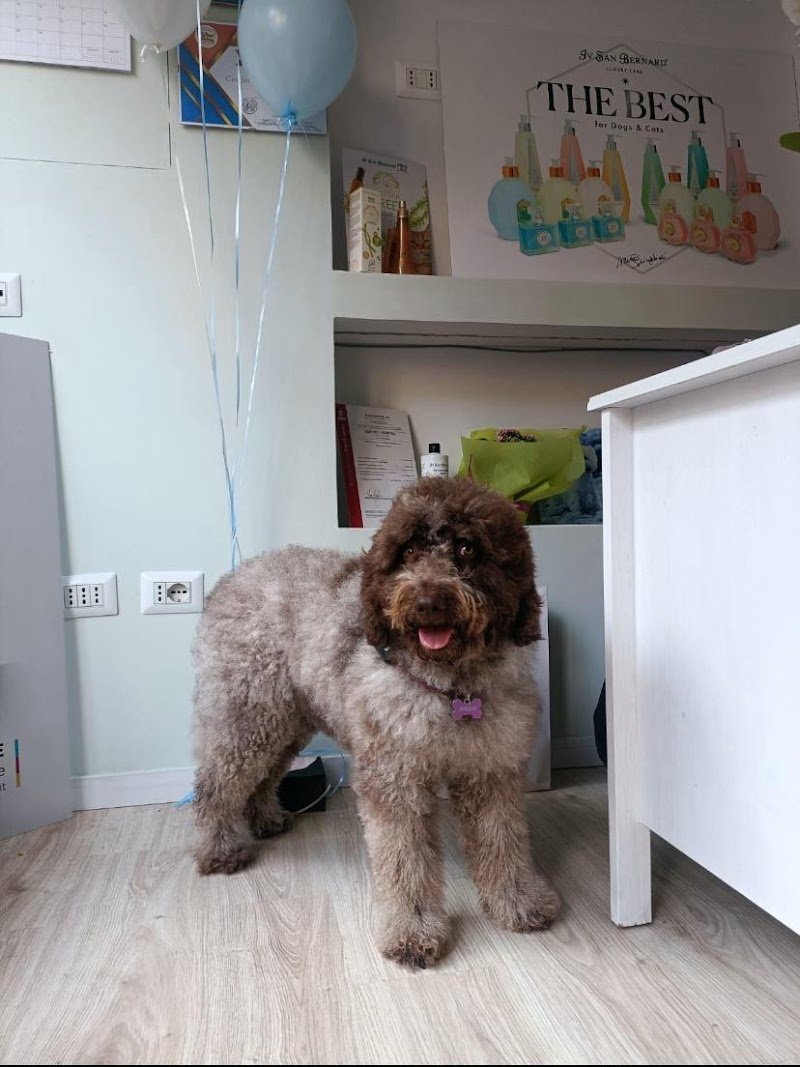 I Cuccioli di Anna - Foto 1