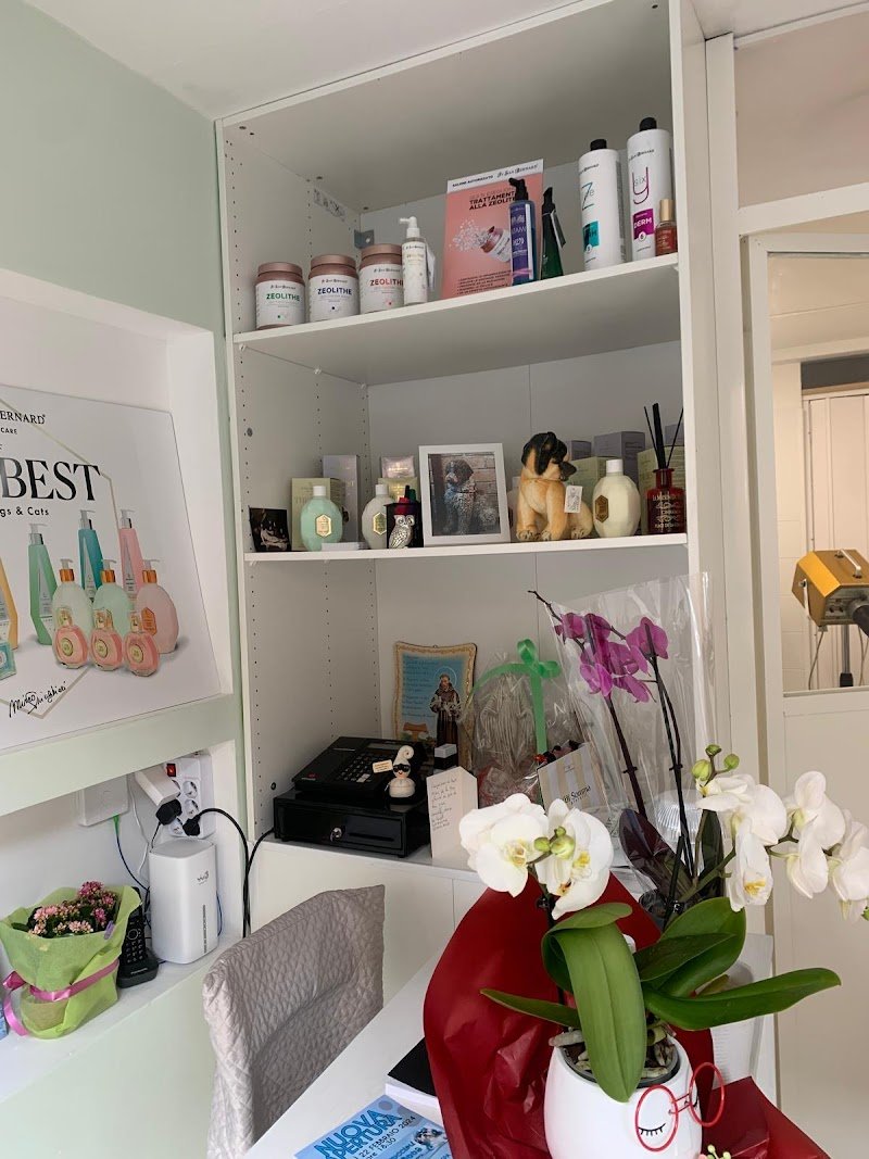 I Cuccioli di Anna - Foto 4