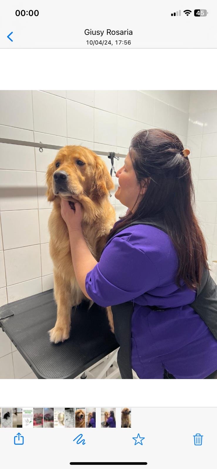 I Cuccioli di Anna - Foto 5