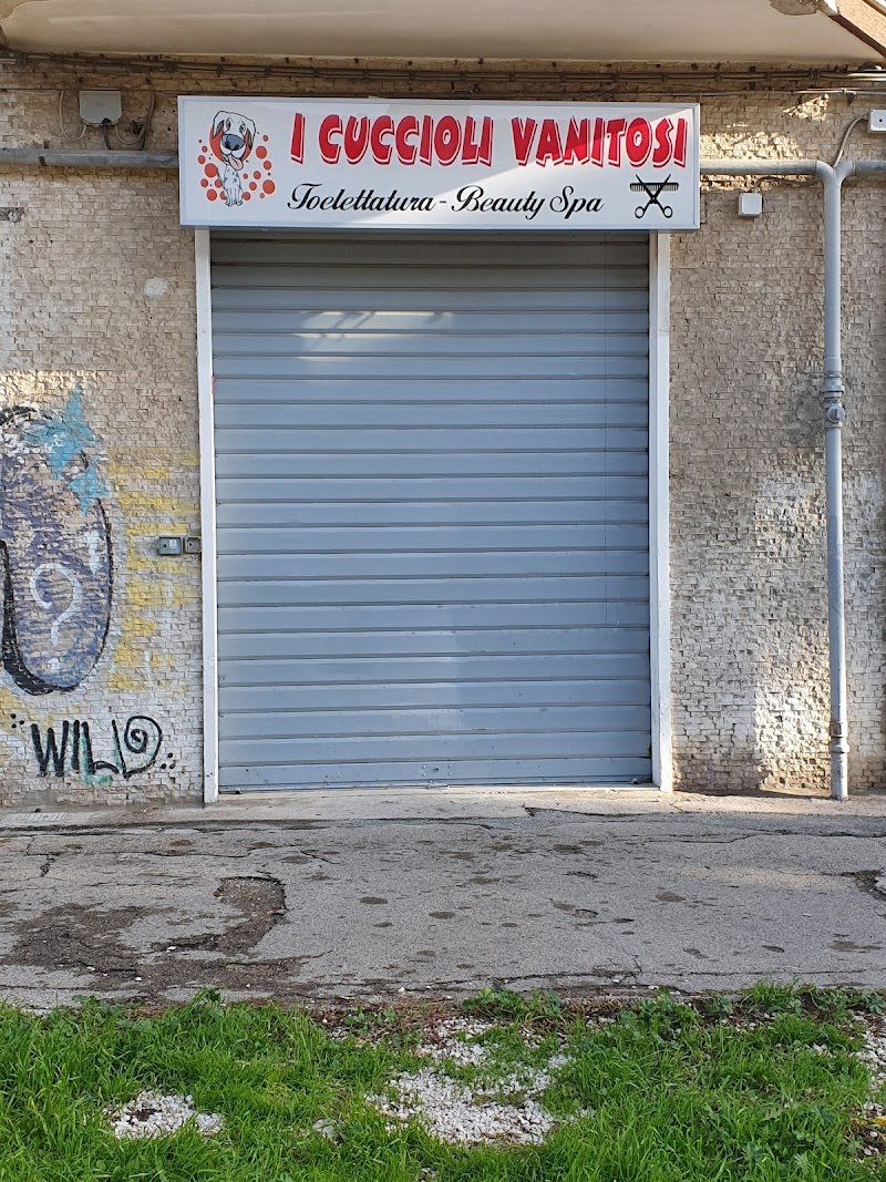 I cuccioli vanitosi toelettatura - beauty Spa - Foto 3