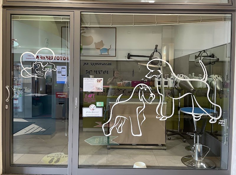 I LOVE PETS SALONE DI TOELETTATURA - Foto 3