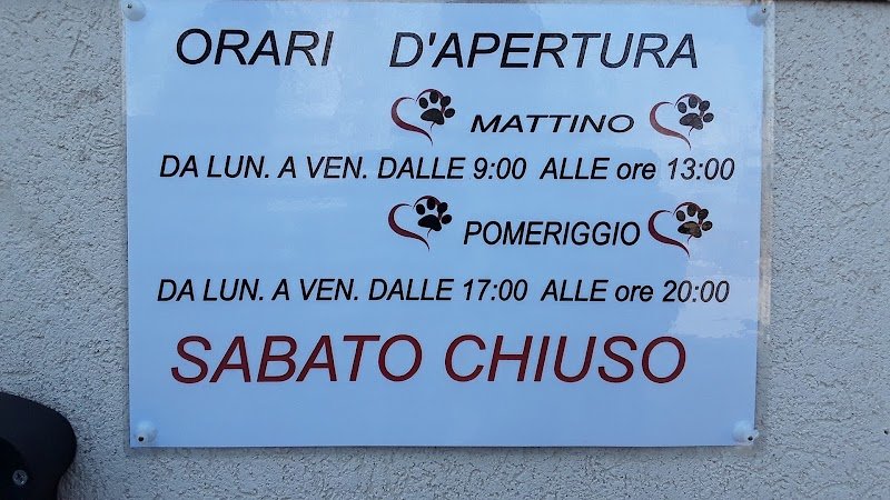 I love pets world - Foto 1