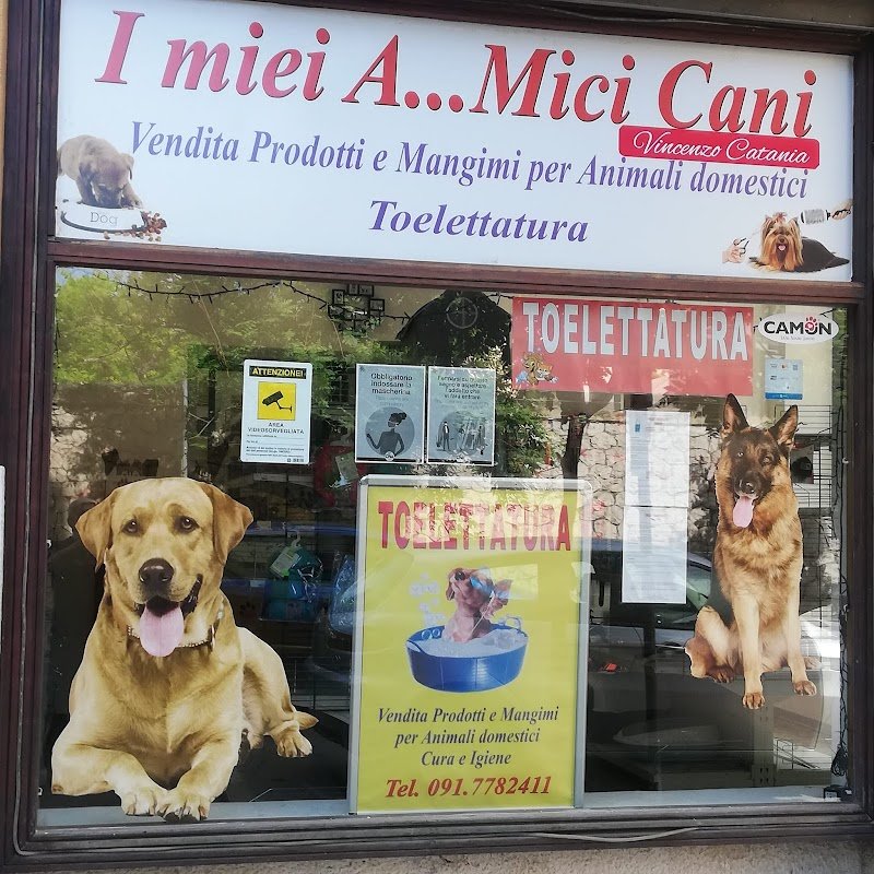I Miei A...Mici Cani - Foto 3