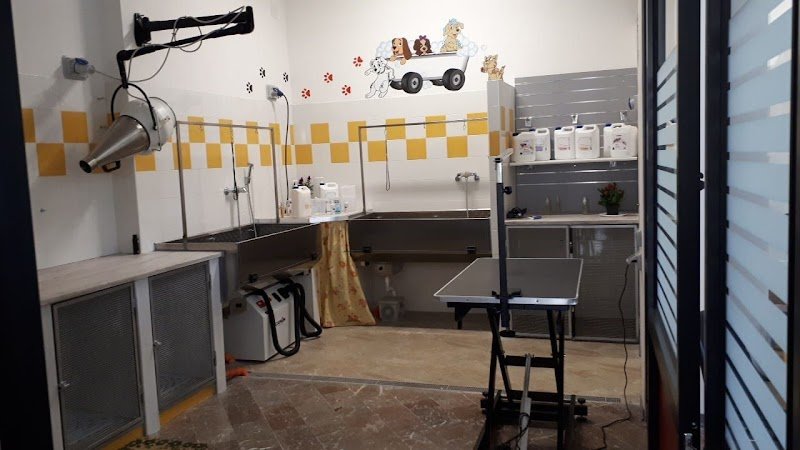 I Miei A...Mici Cani - Foto 4