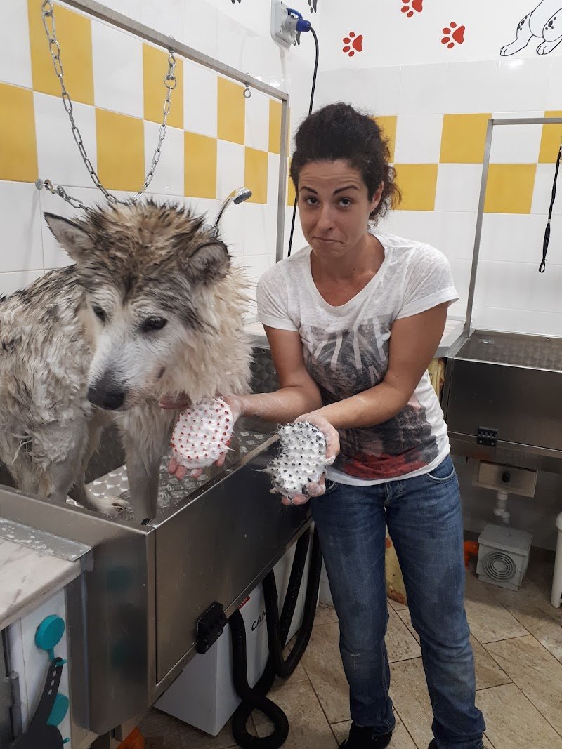 I Miei A...Mici Cani - Foto 5