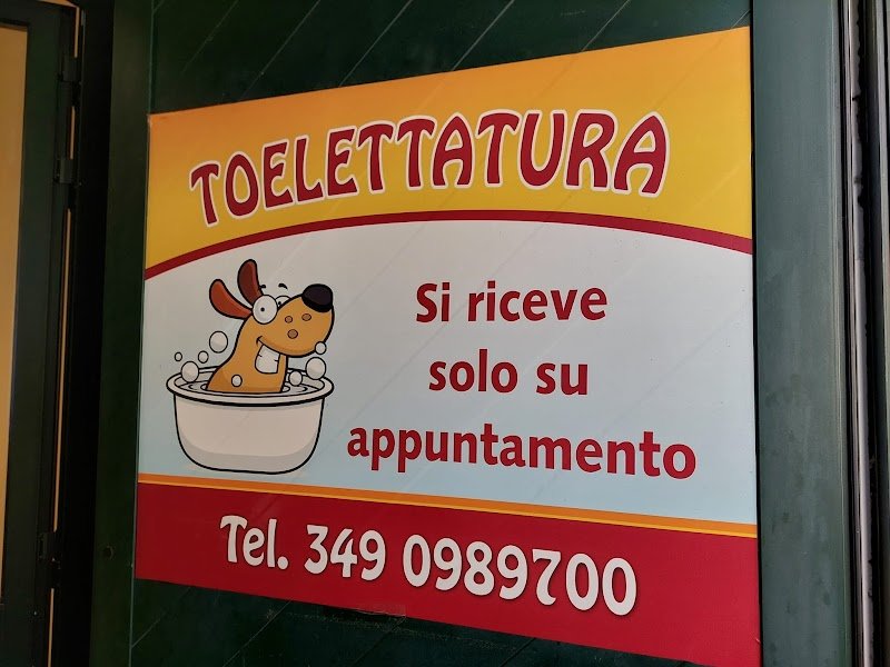 I Pelosetti - Toelettatura - Foto 3