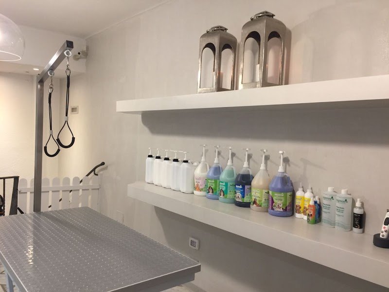 I PET YOU | SHOP & SPA - Foto 2