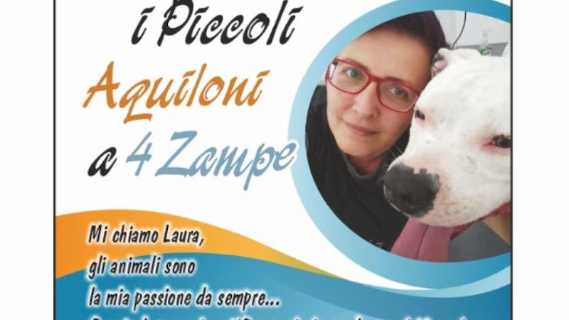 I Piccoli Aquiloni a 4 Zampe - Foto 1