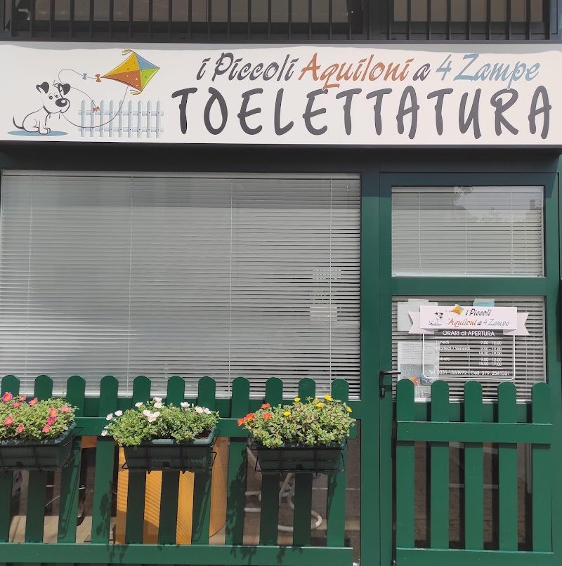 I Piccoli Aquiloni a 4 Zampe - Foto 2