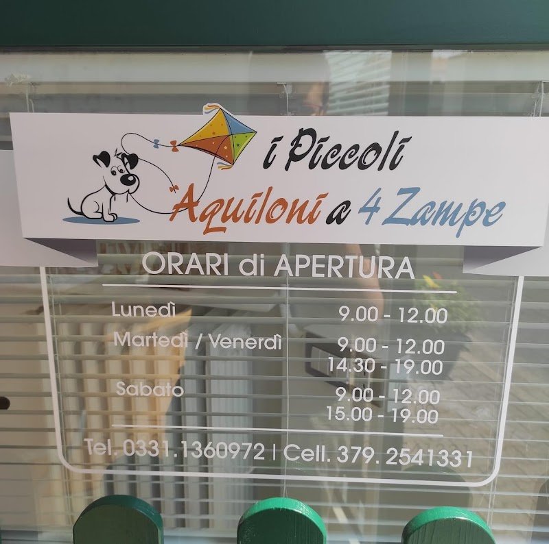 I Piccoli Aquiloni a 4 Zampe - Foto 3