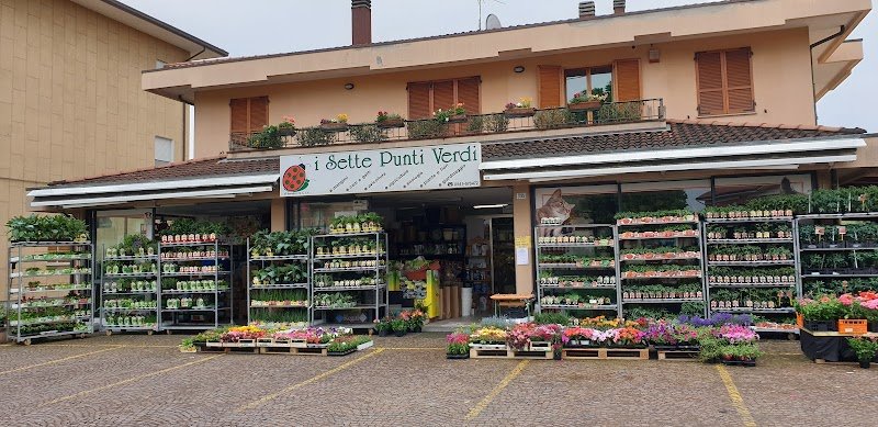 I Sette Punti Verdi - Foto 1