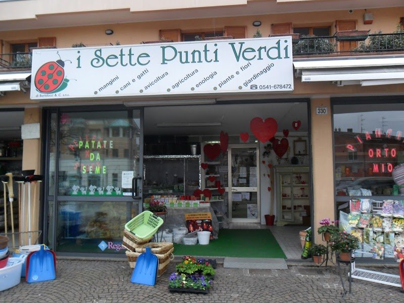 I Sette Punti Verdi - Foto 2