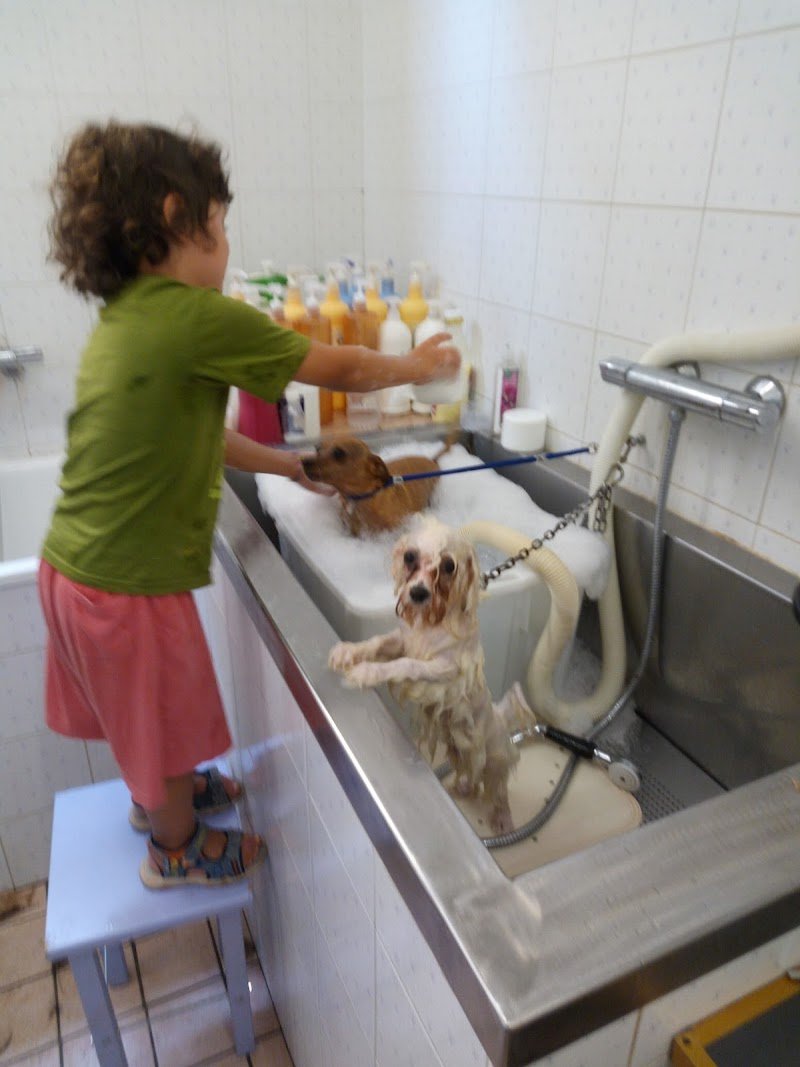 I Sette Punti Verdi - Foto 3