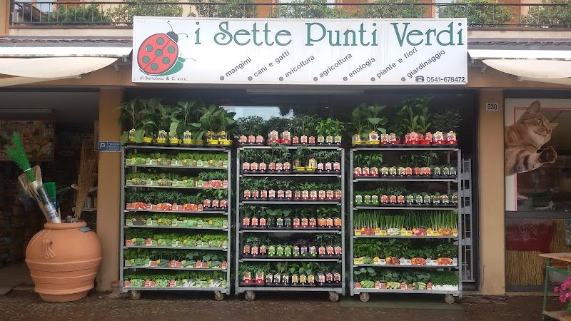 I Sette Punti Verdi - Foto 5