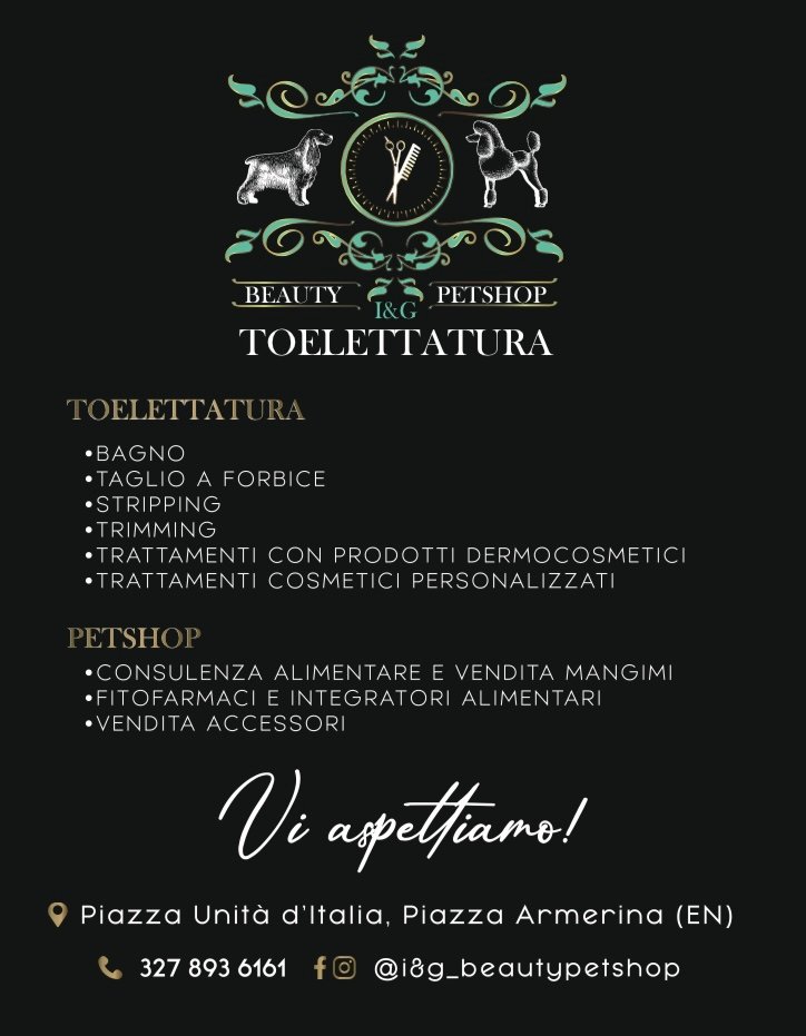 I&G Beauty Petshop - Foto 1