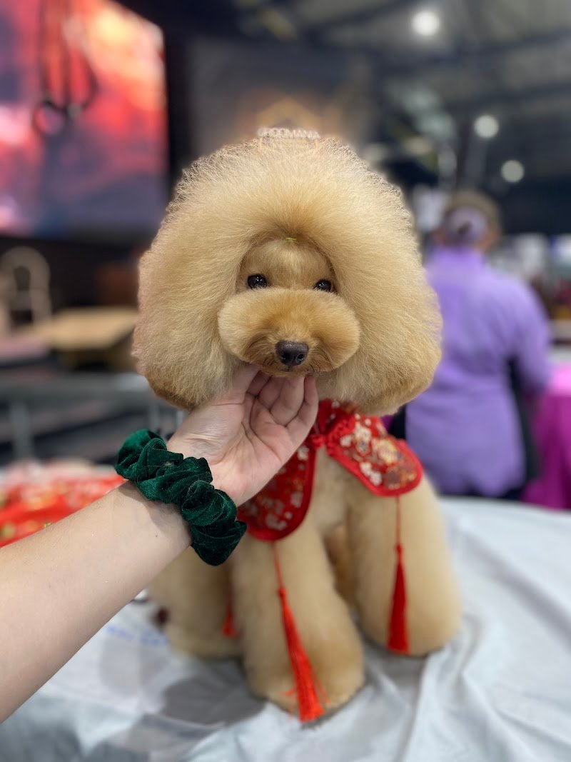 I&G Beauty Petshop - Foto 2