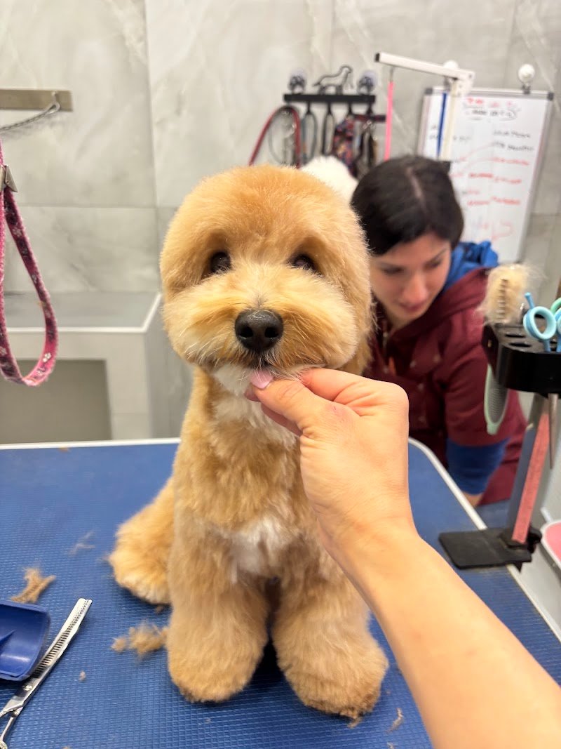 il bagnetto da Cici - Foto 1