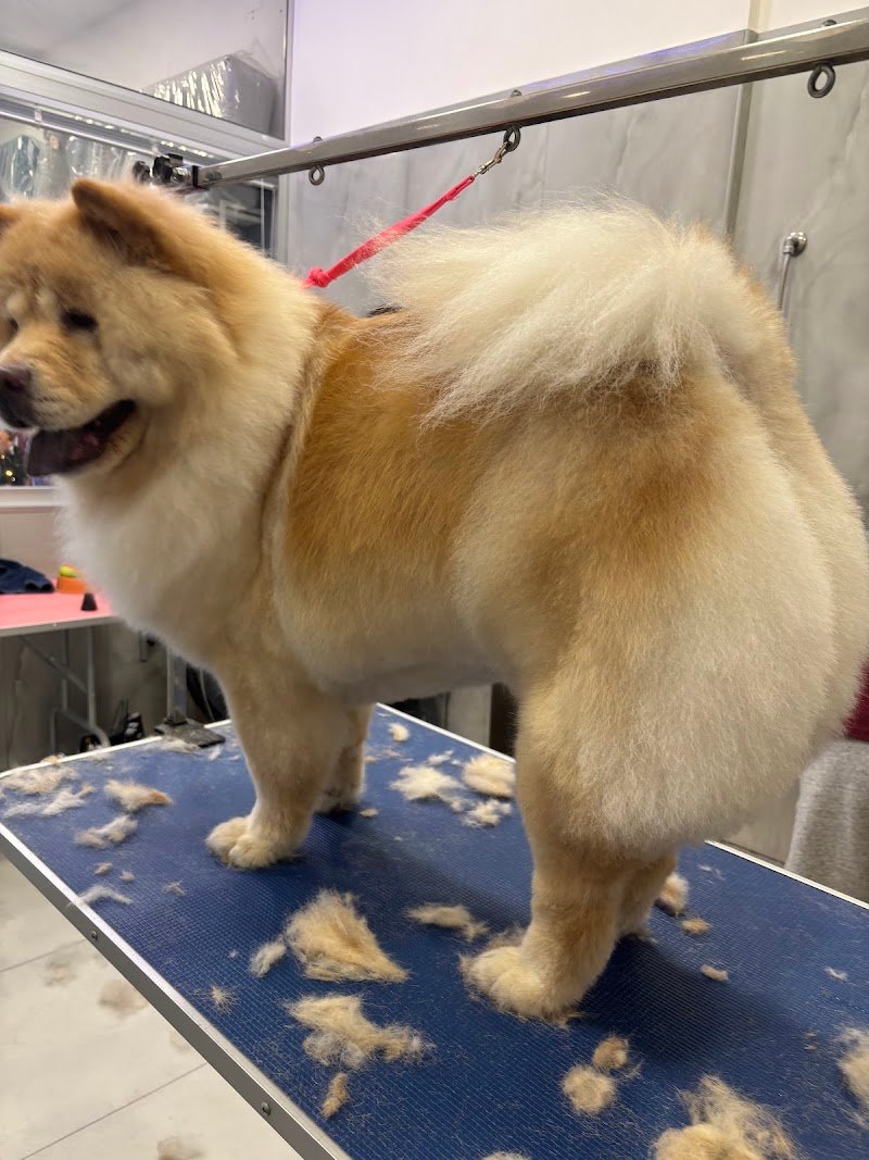 il bagnetto da Cici - Foto 5