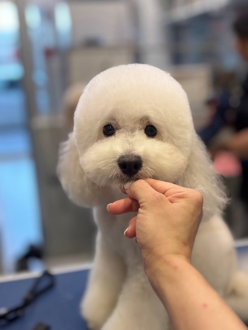 il bagnetto da Cici - Foto 2