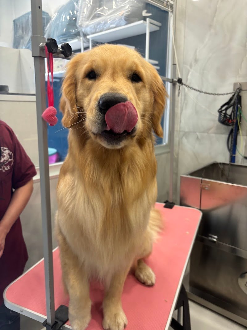 il bagnetto da Cici - Foto 3