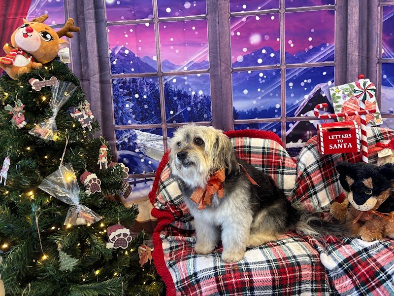 il bagnetto da Cici - Foto 4