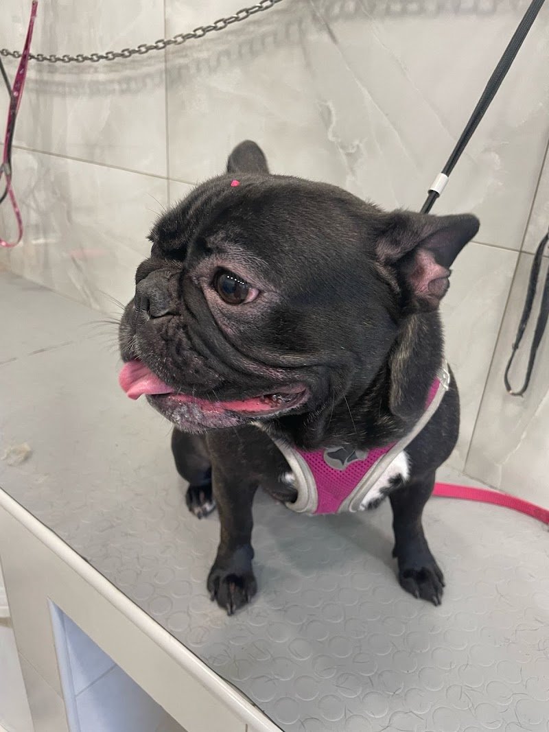 il bagnetto da Cici - Foto 6