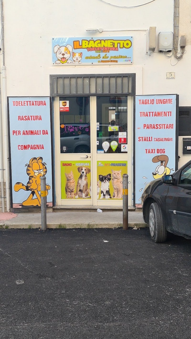 Il Bagnetto Toelettatura - Foto 2