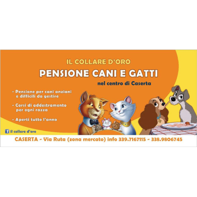 Il Collare D'Oro di Pane Loretta - Foto 1