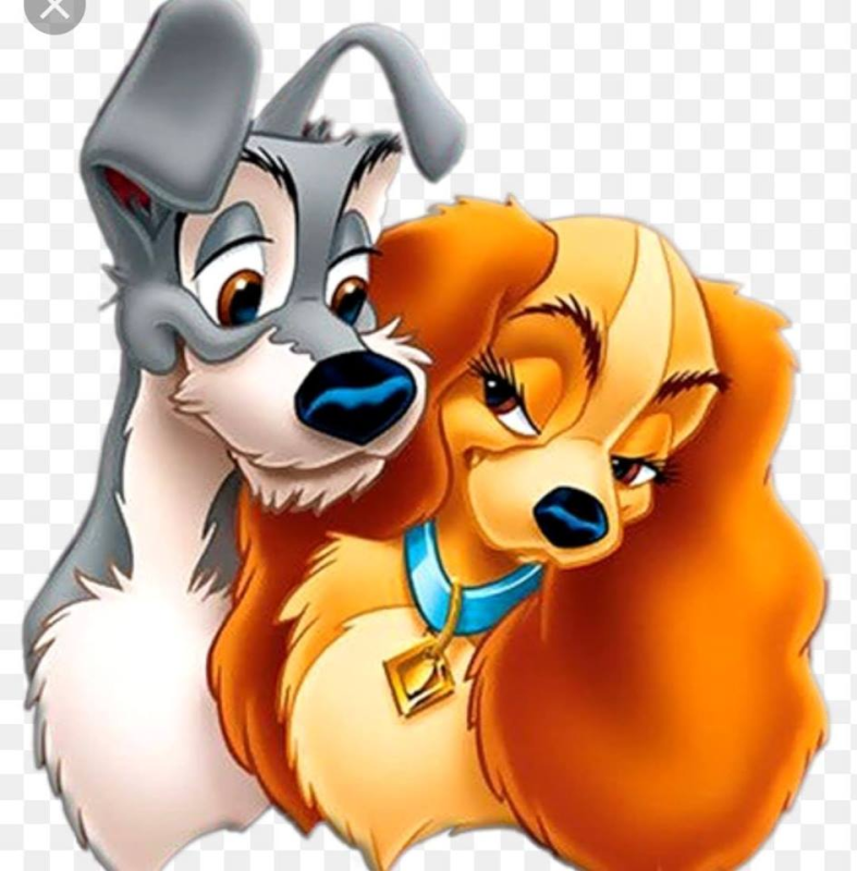 Il Collare D'Oro di Pane Loretta - Foto 2